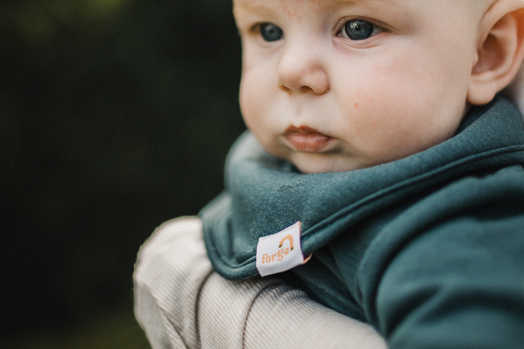 Original bib