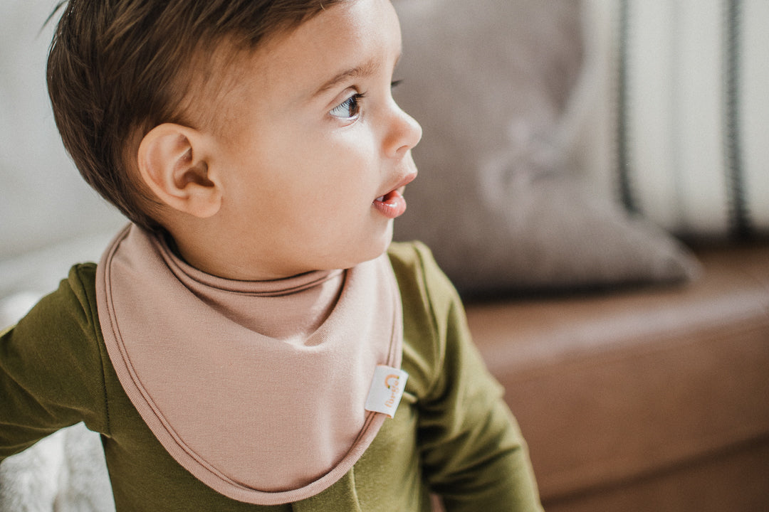 Original bib